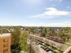 Pronájem bytu 1+1, Karviná - Ráj, Prameny, 36 m2