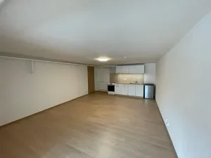 Pronájem bytu 1+kk, Troskotovice, 47 m2