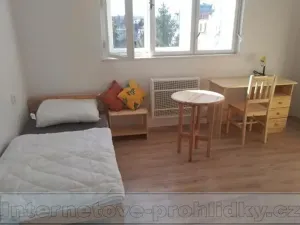 Pronájem pokoje, Brno, 20 m2