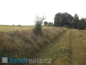Prodej pozemku, Horní Pěna - Malíkov nad Nežárkou, 1083 m2