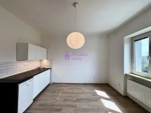 Pronájem bytu 1+kk, Olomouc - Hodolany, Zeyerova, 20 m2