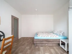 Prodej bytu 1+1, Brno, Turgeněvova, 49 m2