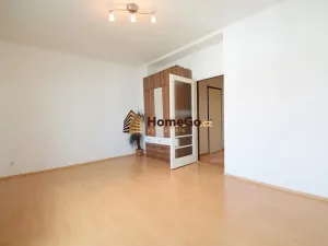Pronájem bytu 1+1, Praha - Nusle, U gymnázia, 53 m2