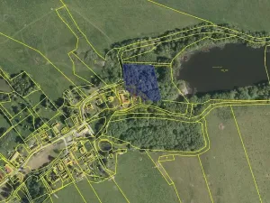 Prodej pozemku, Benešov nad Černou - Hartunkov, 5446 m2