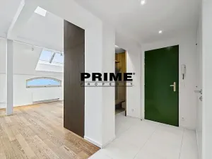 Pronájem bytu 3+1, Praha - Bubeneč, U akademie, 130 m2