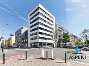 Pronájem bytu 2+kk, Praha - Holešovice, Dělnická, 52 m2