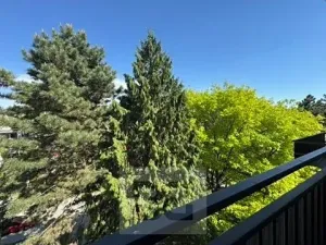 Pronájem bytu 3+1, Brno, 74 m2