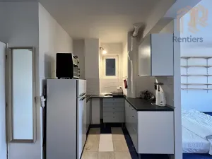 Pronájem bytu 1+kk, Praha - Vinohrady, Přemyslovská, 41 m2