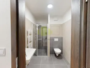 Pronájem bytu 1+kk, Olomouc, Janského, 36 m2
