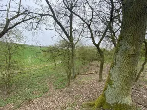 Prodej pozemku, Štětí - Brocno, 1107 m2