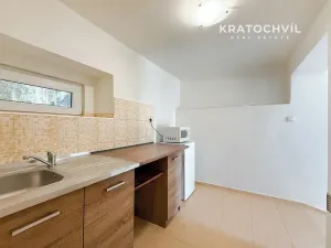 Pronájem bytu 1+kk, Kladno, Vrapická, 38 m2