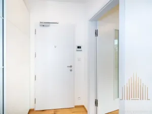 Pronájem bytu 2+kk, Praha - Nusle, Závišova, 42 m2