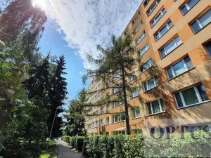 Pronájem bytu 1+kk, Praha - Podolí, Kaplická, 28 m2