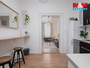 Pronájem bytu 1+1, Praha - Smíchov, Na Celné, 35 m2