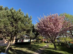 Prodej rodinného domu, Vážany, 702 m2