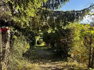 Prodej chaty, Nespeky, 50 m2