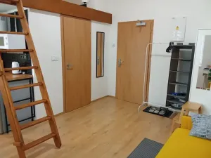 Prodej bytu 1+kk, Praha - Nové Město, Sokolská, 22 m2