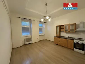 Pronájem bytu 2+kk, Ústí nad Labem - Ústí nad Labem-centrum, Bělehradská, 34 m2