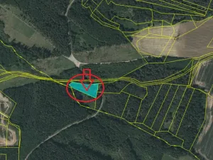 Prodej lesa, Žimutice, 2720 m2