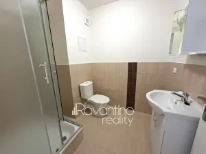 Pronájem ubytování, Brno, Cacovická, 371 m2