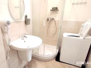 Pronájem bytu 1+kk, Praha - Nové Město, Tyršova, 30 m2