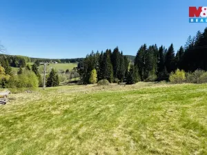 Prodej louky, Stachy, 4150 m2