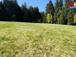 Prodej louky, Stachy, 4150 m2