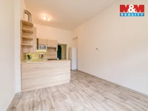 Pronájem bytu 1+1, Františkovy Lázně, Kollárova, 48 m2