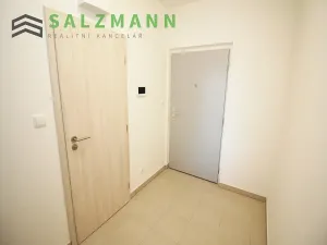 Pronájem bytu 1+kk, Plzeň, Nemocniční, 29 m2