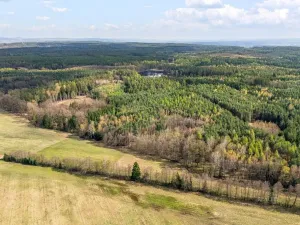 Prodej rodinného domu, Horní Jelení, Lesní, 100 m2