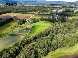 Prodej pozemku, Nová Pec, 9752 m2