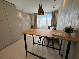 Prodej bytu 1+kk, Praha - Záběhlice, Narcisová, 24 m2