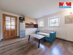 Pronájem bytu 1+kk, Březí, Jana Nepomuckého, 22 m2
