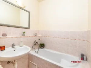 Prodej bytu 2+1, Hradec Králové - Pražské Předměstí, Puškinova, 57 m2