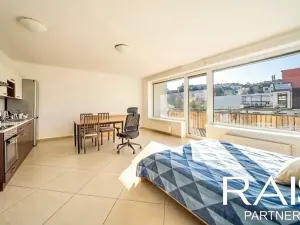Prodej bytu 1+kk, Brno, Hálkova, 55 m2
