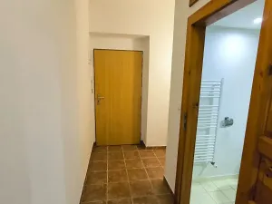 Pronájem bytu 1+1, Ústí nad Labem, Emy Destinové, 37 m2