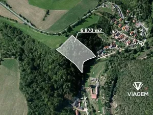 Prodej podílu lesa, Chlum, 1312 m2