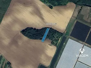 Prodej zahrady, Hovorany, 1843 m2