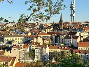 Prodej bytu 2+kk, Praha - Žižkov, Dalimilova, 52 m2