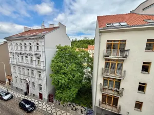 Prodej bytu 2+kk, Praha - Žižkov, Dalimilova, 52 m2