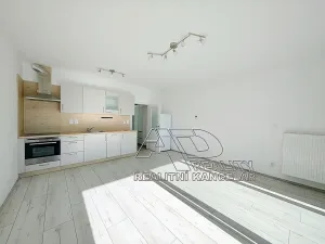 Pronájem bytu 1+kk, České Budějovice, Na Zlaté stoce, 31 m2