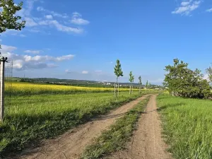 Prodej zahrady, Tvarožná, 2164 m2