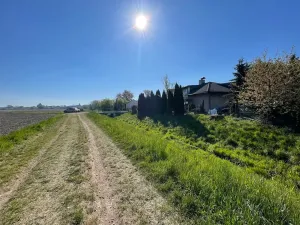 Prodej rodinného domu, Holice, 288 m2
