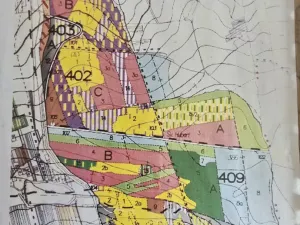 Prodej lesa, Kněždub, 845297 m2