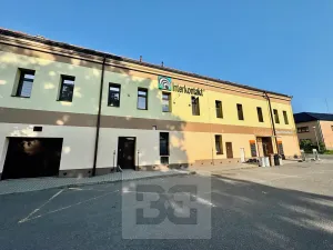 Pronájem bytu 3+kk, Velké Opatovice, Sokolská, 195 m2