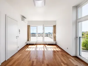 Pronájem rodinného domu, Praha - Dejvice, Hanzelkova, 280 m2