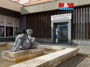 Prodej obchodního prostoru, Chomutov, Palackého, 159 m2