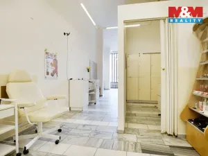 Prodej obchodního prostoru, Chomutov, Palackého, 159 m2