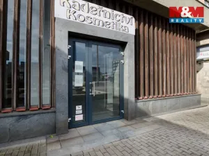 Prodej obchodního prostoru, Chomutov, Palackého, 159 m2
