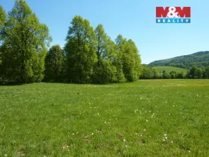 Prodej louky, Náchod - Běloves, 20495 m2